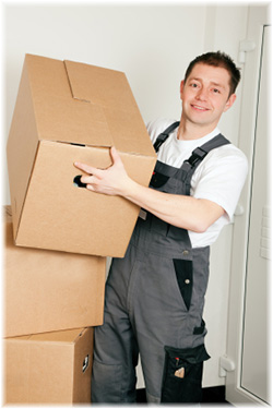 Removals Guy